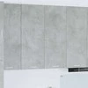 Pakabinama spintelė su saugykla Betono pilka 80 x 31 x 100 cm