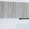 Pakabinama spintelė su saugykla Pilkas Sonoma 60 x 31 x 80 cm