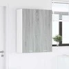 Pakabinama spintelė su saugykla Pilkas Sonoma 80 x 31 x 100 cm