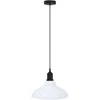 Pakabinamas šviestuvas Pakabinamas lempos, aukštis reguliuojamas, E27, Ø 31cm, metalas