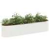 Pakelta sodo lova Balta 200 x 40 x 40 cm