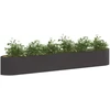 Pakelta sodo lova Juoda 300 x 40 x 40 cm Plienas