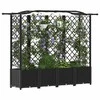 Pakeltas lovas su trelėmis ir stogu Juodas 204 x 40 x 141 cm PP