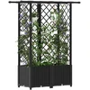 Pakeltas lovas su trelėmis ir stogu Juodas 124,5 x 40 x 138 cm