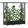 Pakeltas lovas su trelėmis ir stogu Juodas 164 x 40 x 123 cm PP