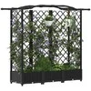 Pakeltas lovas su trelėmis ir stogu Juodas 163 x 40 x 126 cm PP