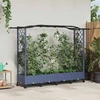 Pakeltas lovas su trelėmis ir stogu Pilka 207 x 40 x 129 cm PP