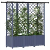 Pakeltas lovas su trelėmis ir stogu Pilka 162,5 x 40 x 138 cm