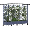 Pakeltas lovas su trelėmis ir stogu Pilka 203,5 x 40 x 129 cm