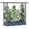 Pakeltas lovas su trelėmis ir stogu Pilka 164 x 40 x 123 cm PP
