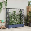 Pakeltas lovas su trelėmis ir stogu Pilka 164 x 40 x 123 cm PP