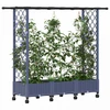 Pakeltas lovas su trelėmis ir stogu Pilka 164 x 40 x 127 cm PP