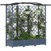 Pakeltas lovas su trelėmis ir stogu Pilka 163 x 40 x 126 cm PP