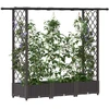 Pakeltas lovas su trelėmis ir stogu Ruda 164 x 40 x 123 cm PP