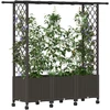 Pakeltas lovas su trelėmis ir stogu Ruda 162,5 x 40 x 142 cm PP