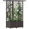 Pakeltas lovas su trelėmis ir stogu Ruda 124,5 x 40 x 138 cm PP