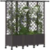 Pakeltas lovas su trelėmis ir stogu Ruda 163,5 x 40 x 142 cm PP