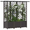 Pakeltas lovas su trelėmis ir stogu Ruda 163,5 x 40 x 138 cm PP
