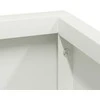 Sodo vazonas Balta 80 x 80 x 50 cm Šaltai valcuotas plienas