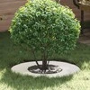 tinkamas plokštiems medžio žiedams 5 pcs Balta Ø30 / 60 cm