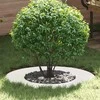 tinkamas plokštiems medžio žiedams 5 pcs Balta Ø40 / 70 cm