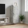Prie sienos montuojama spinta 33 x 34,5 x 90 cm Betono pilka