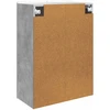 Prie sienos montuojama spinta Betono pilka 66 x 34,5 x 92 cm