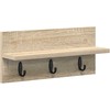 Prikabinamas paltas Sonoma ąžuolas 40 x 10,5 x 18 cm