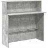Registratūra, betono pilkas, 180x50x103,5 cm, apdirbta mediena