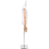 Reguliuojamas manekenas 170-218 cm su baze Vyras PP Balta