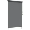 Roletas Šviesiai pilka 100 x 250 cm Audinys ir aliuminis