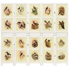 Romdivider Panel Balta 176,5 x 165 cm MDF plokštė