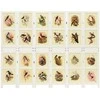 Romdivider Panel Balta 212 x 165 cm MDF plokštė