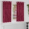 Aksominio tipo užuolaidos 2 pcs Vyno raudona 175 x 140 cm