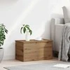 Saugojimo dėžė su saugykla Amatininkų ąžuolas 60 x 35 x 35 cm