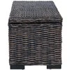 Saugojimo dėžė su saugykla Juoda 110 x 35 x 45 cm