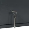 SentrySafe Seifo dėžė su užraktu Tamsiai pilka 35 x 25 x 25 cm Plienas