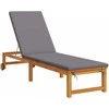 Saulės gultas 2 pcs Ruda 202 x 53 x 89 cm