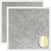 Savistovaus Dangčio Varžtas 2 vnt. Betono pilka Ø 20 x 0,5 mm