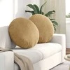 Sėdynių pagalvėlės 2 pcs Ruda Ø 80 x 29 cm Aksomas