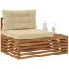 Lauko galinė sofa su pagalve 3 Vienetas Natūralus ir bežinis