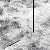Shaggy tipo kilimas, NAVARRA, 60x100 cm, šviesiai pilka