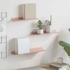 Plūduriuojanti lentyna 3 pcs Rožinė 40 x 9 x 2,5 cm Plienas