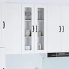 Sieninis stiklinis kabinetas LUCCA Balta 60 x 31 x 100 cm