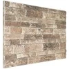 Sienų plokštės 10 pcs Įvairiaspalvis 100 x 50 cm EPS putos