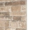 Sienų plokštės 10 pcs Įvairiaspalvis 100 x 50 cm EPS putos