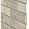 Sienų plokštės 10 pcs Smėlio 100 x 50 cm EPS putos