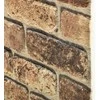 Sienų plokštės 10 pcs Tamsus Smėlis 100 x 50 cm EPS putos