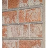 Sienų plokštės 10 vnt. 100 x 50 cm Oranžinė EPS putos