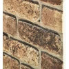 Sienų plokštės 10 vnt. 100 x 50 cm Tamsus Smėlis EPS putos